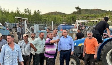 Başkan Dutlulu Yangın Bölgesinde İncelemelerde Bulundu