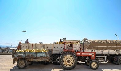 Manavgat Yeni Hal Toptancı Kompleksi üreticilerin ve tüccarların yüzlerini güldürüyor